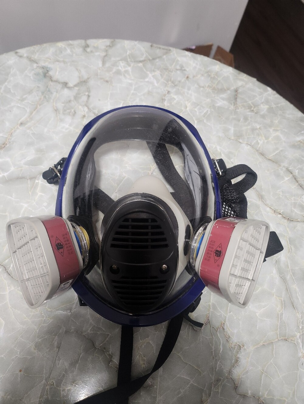 Full Face Protective Respirator Mask with Dual Pink Filters
